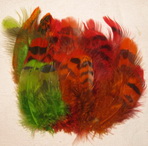 Capercailli hen feathers mix
